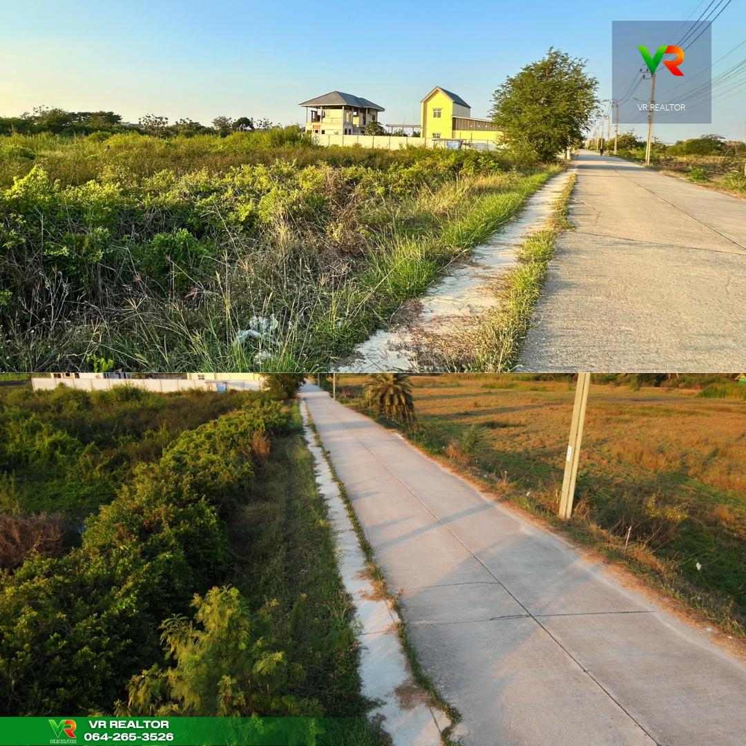 ที่ดินแปลงสวยแบ่งขาย ไทรน้อยติดถนนคอนกรีต น้ำ-ไฟ พร้อม ราคาถูกมาก