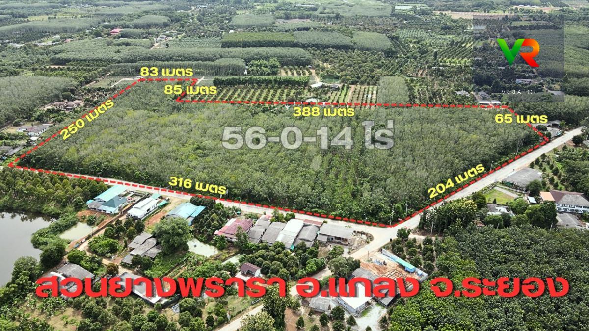 ขายที่ดินสวยยาง ติดถนน 2 ด้าน ราคาต่ำกว่าตลาด เหมาะทำกำไรในระยะยาว