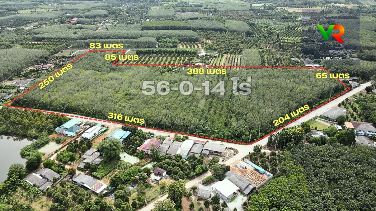 ขายที่ดินสวยยาง ติดถนน 2 ด้าน ราคาต่ำกว่าตลาด เหมาะทำกำไรในระยะยาว