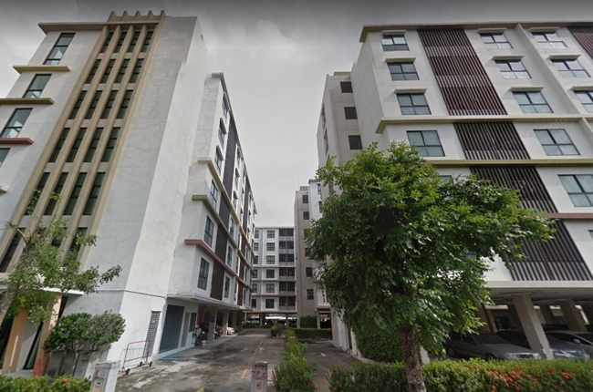 banner-project-details