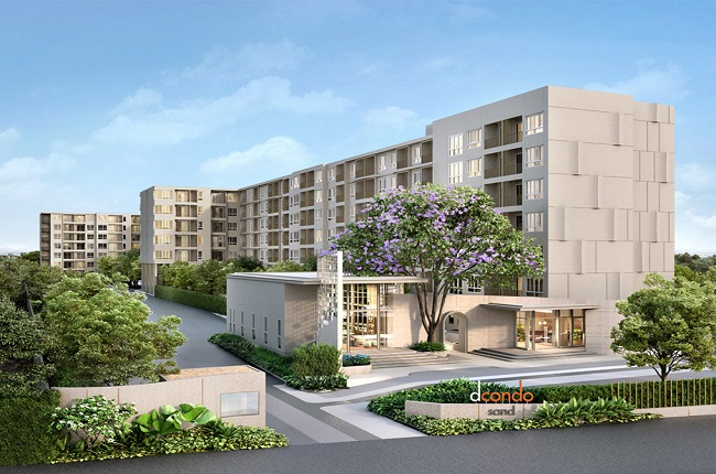 banner-project-details