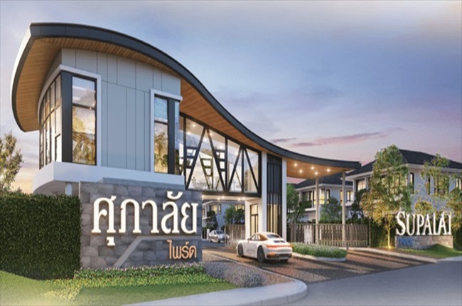 banner-project-details