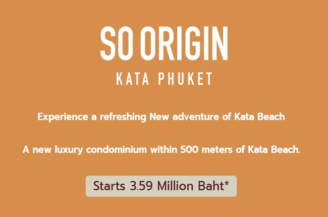 banner-project-details