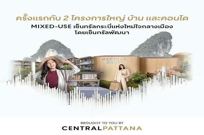 banner-project-details